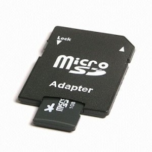 MicroSD&Adapter-500x500